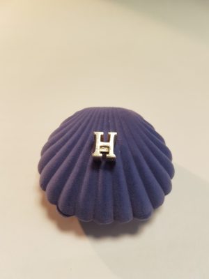 Hõberipats SOODUSHIND